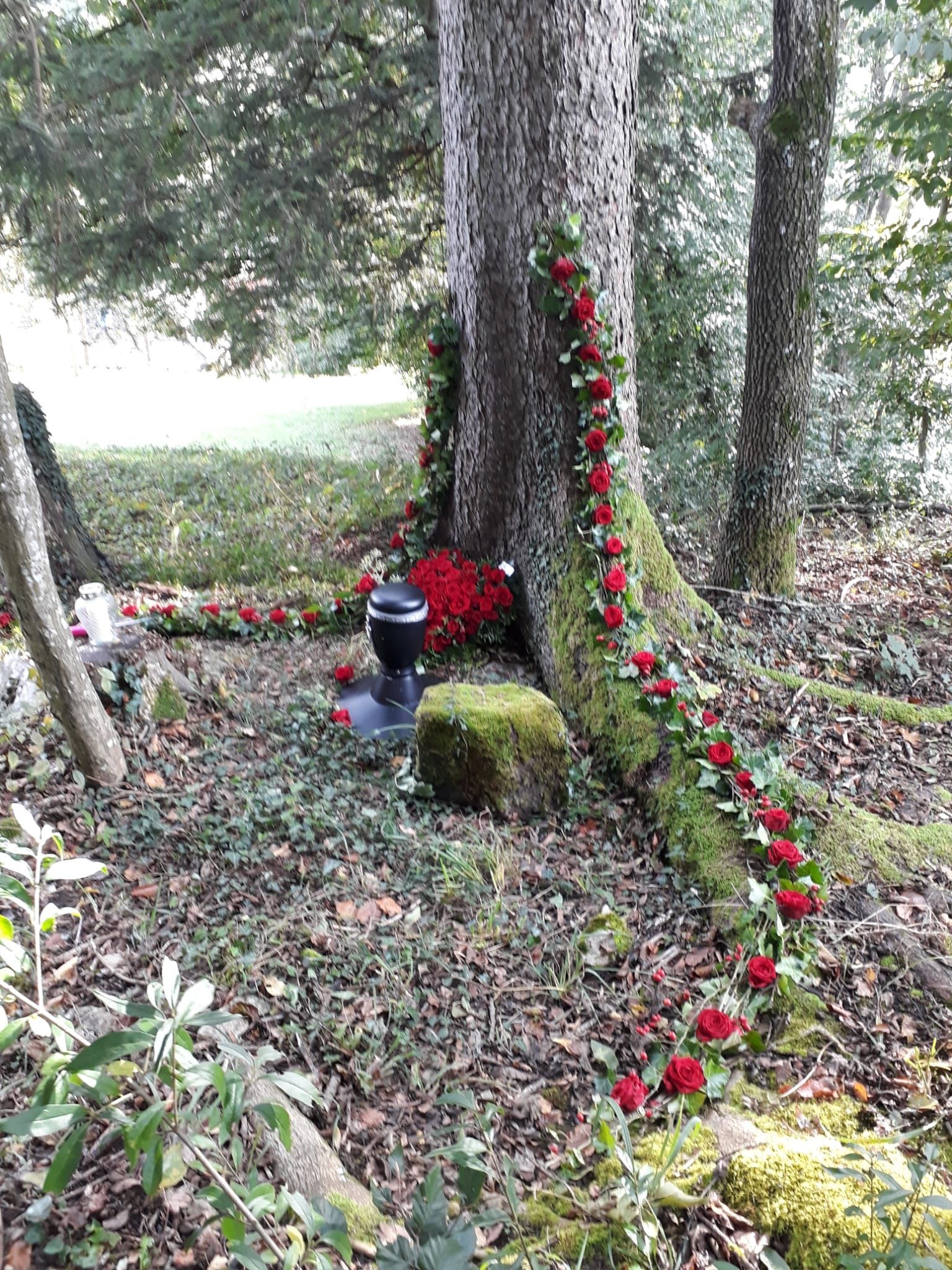 Ein Baum mitten in einem Wald mit einem Kranz aus roten Rosen darum.