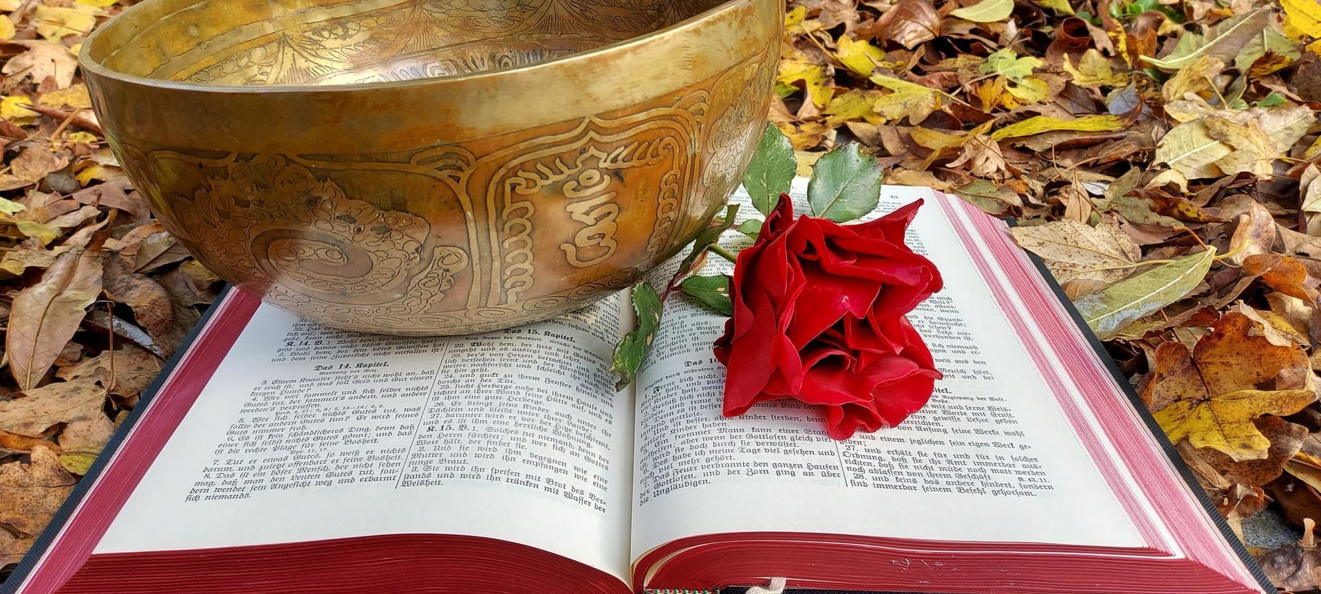Eine rote Rose liegt auf einer offenen Bibel neben einer Schüssel.