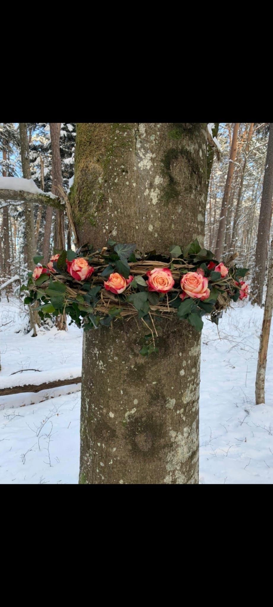 Ein Baum mit einem Blumenkranz darum im Schnee.