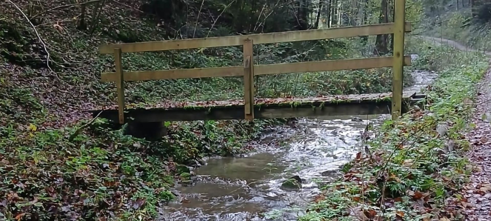 Eine Holzbrücke über einen schlammigen Bach im Wald.