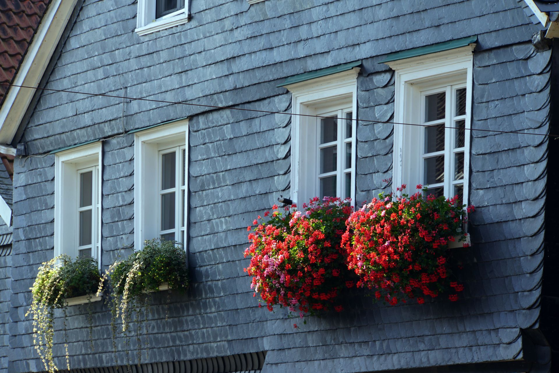 Façade de bâtiment recouverte d'ardoise avec des fenêtres à cadre blanc et des jardinières débordant de fleurs rouges.