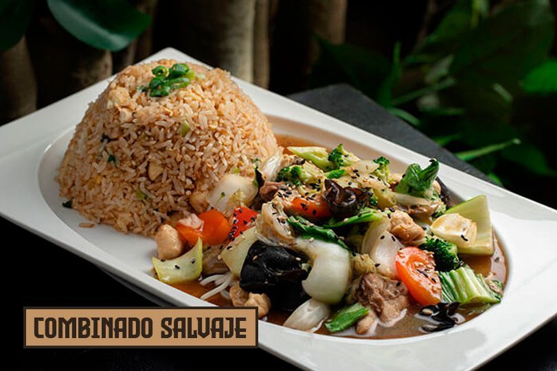 Plato de comida: Arroz, verduras y carne en salsa. Texto 