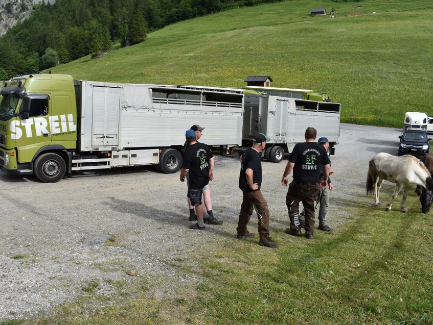 Team - Streil Transporte AG – Sufers