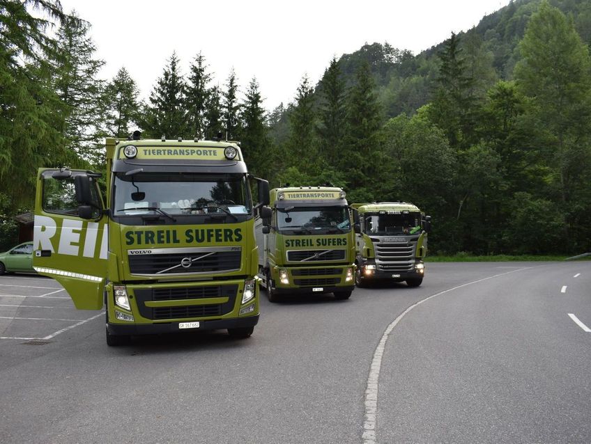 Bestellung Heu, Stroh - Streil Transporte AG - Sufers