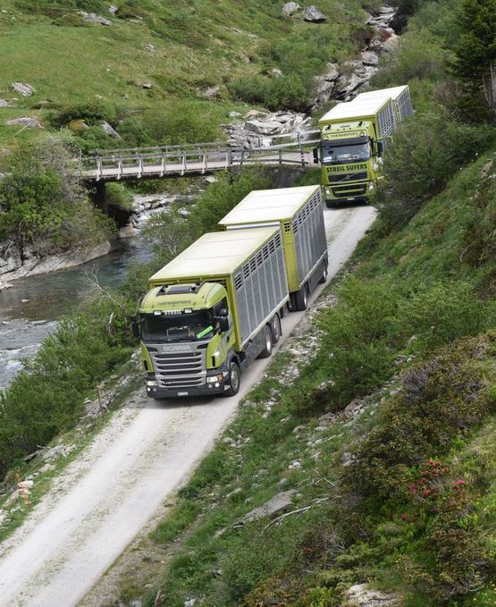 Alpentransporte - Streil Transporte AG - Sufers