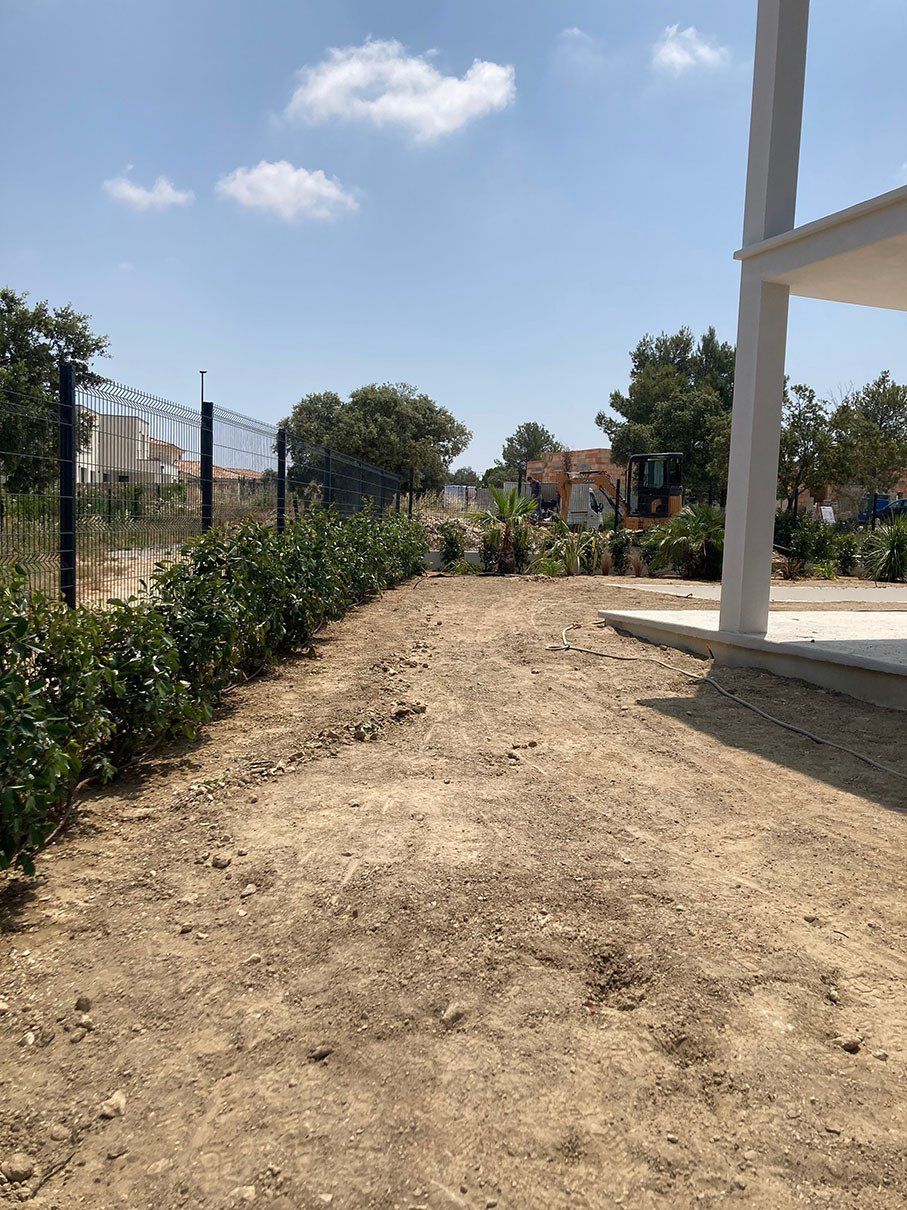 Arbuste de haie entretenus