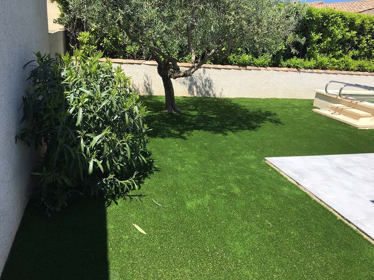 Jardin avec un oliver planté