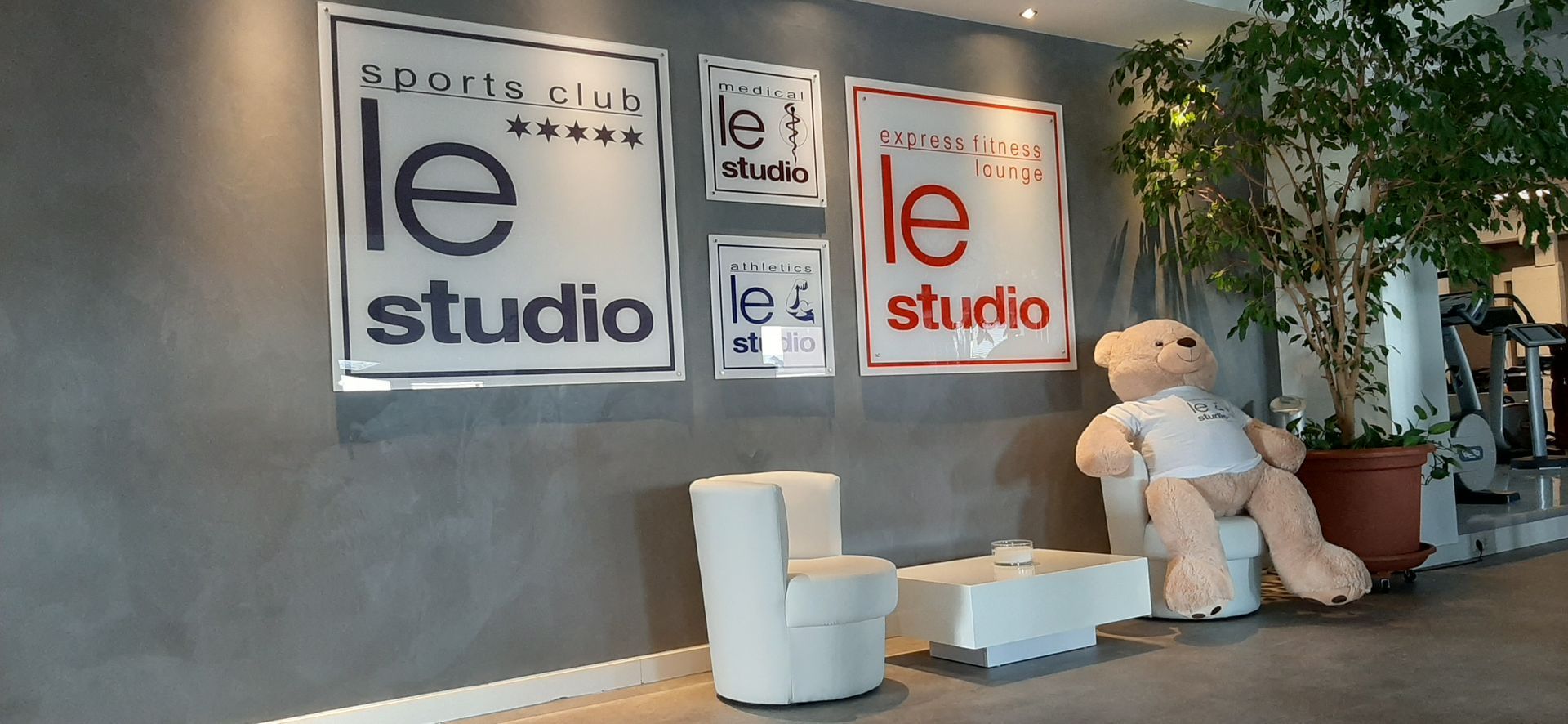 Innenansicht eines Studios mit „Le Studio“-Schildern, Sitzbereich und einem Teddybär.