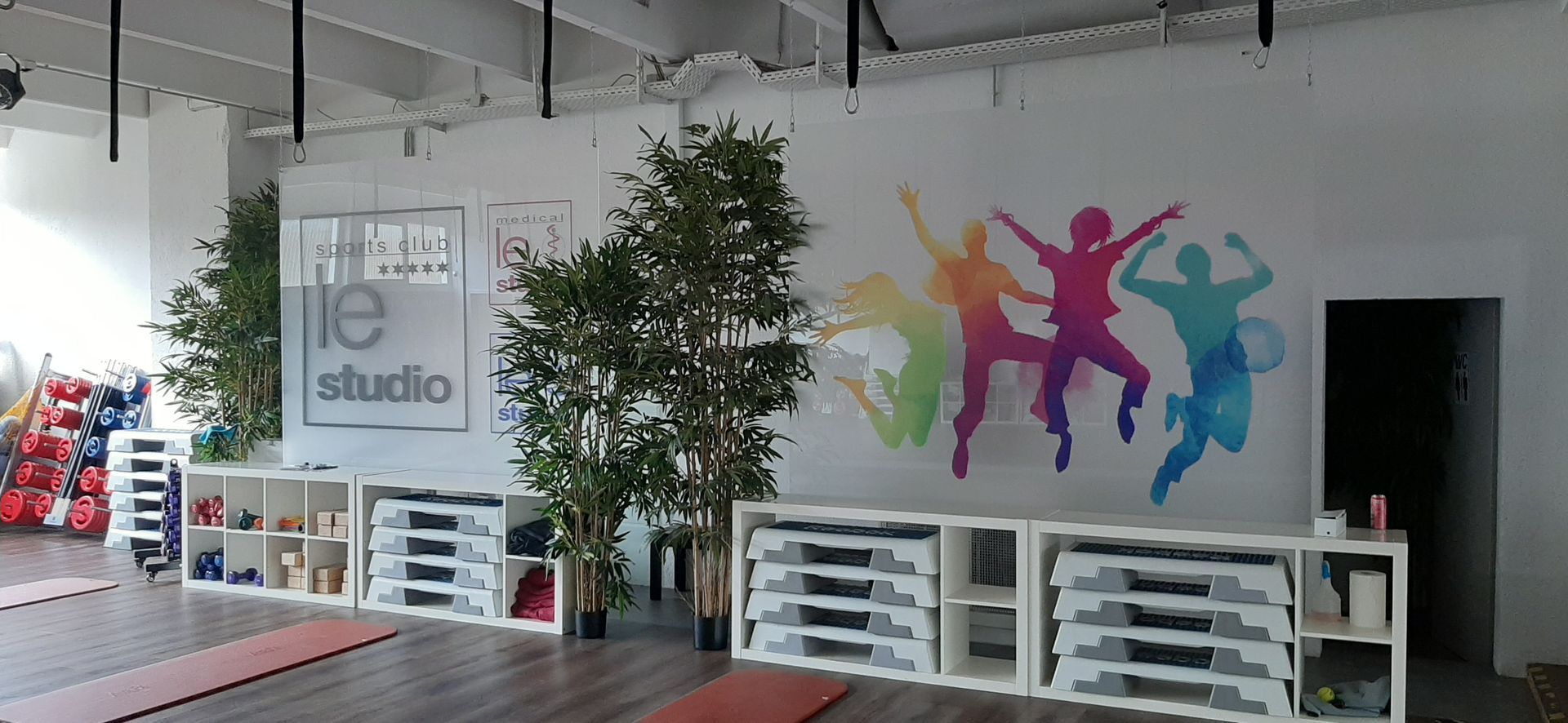 Fitnessstudio-Innenraum mit Trainingsgeräten, farbenfrohem Wandgemälde und Grünpflanzen vor einer weißen Wand.