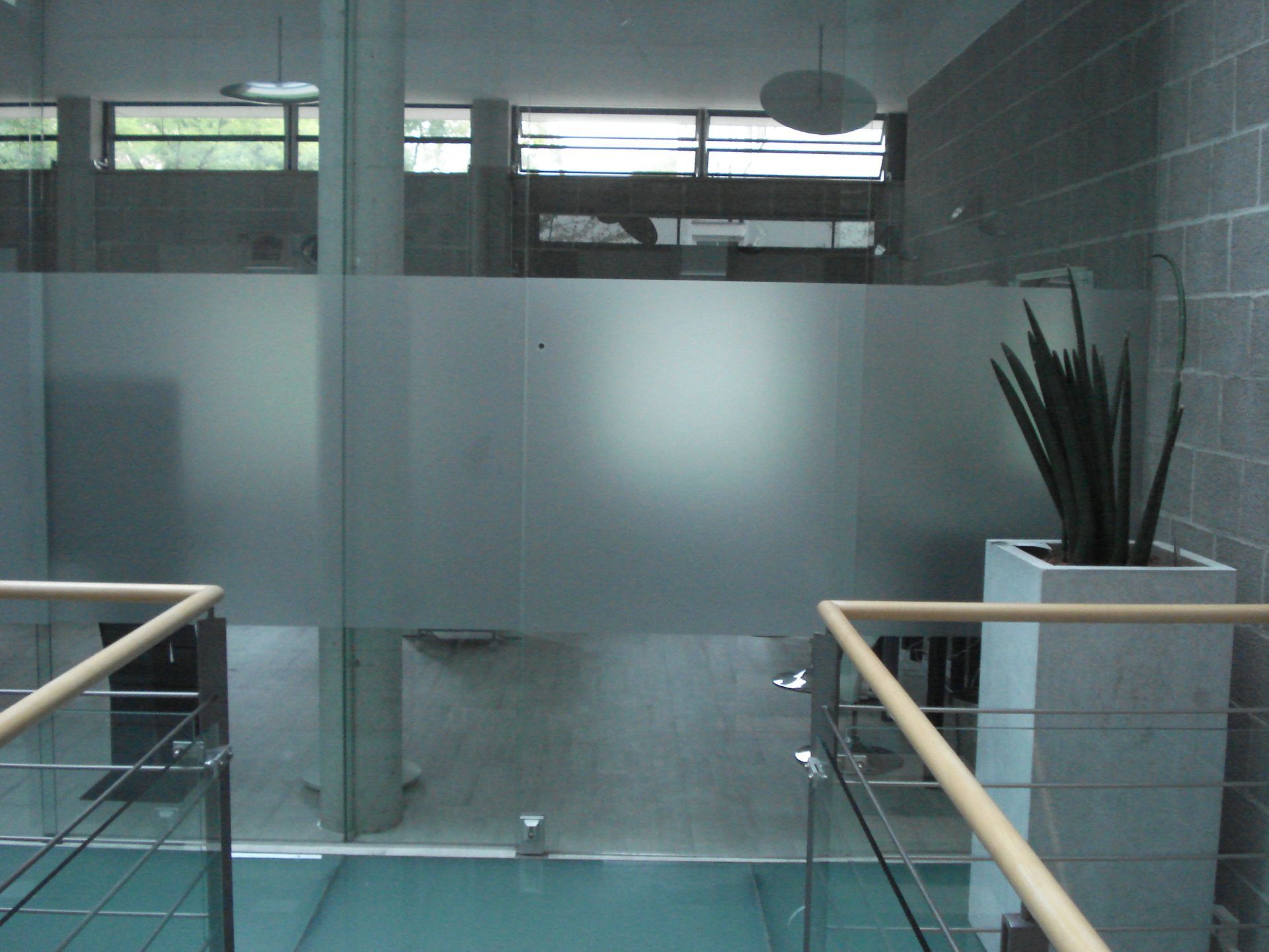 Glaswand mit mattiertem Abschnitt, Topfpflanze und Teilansicht eines Raumes mit Pool.