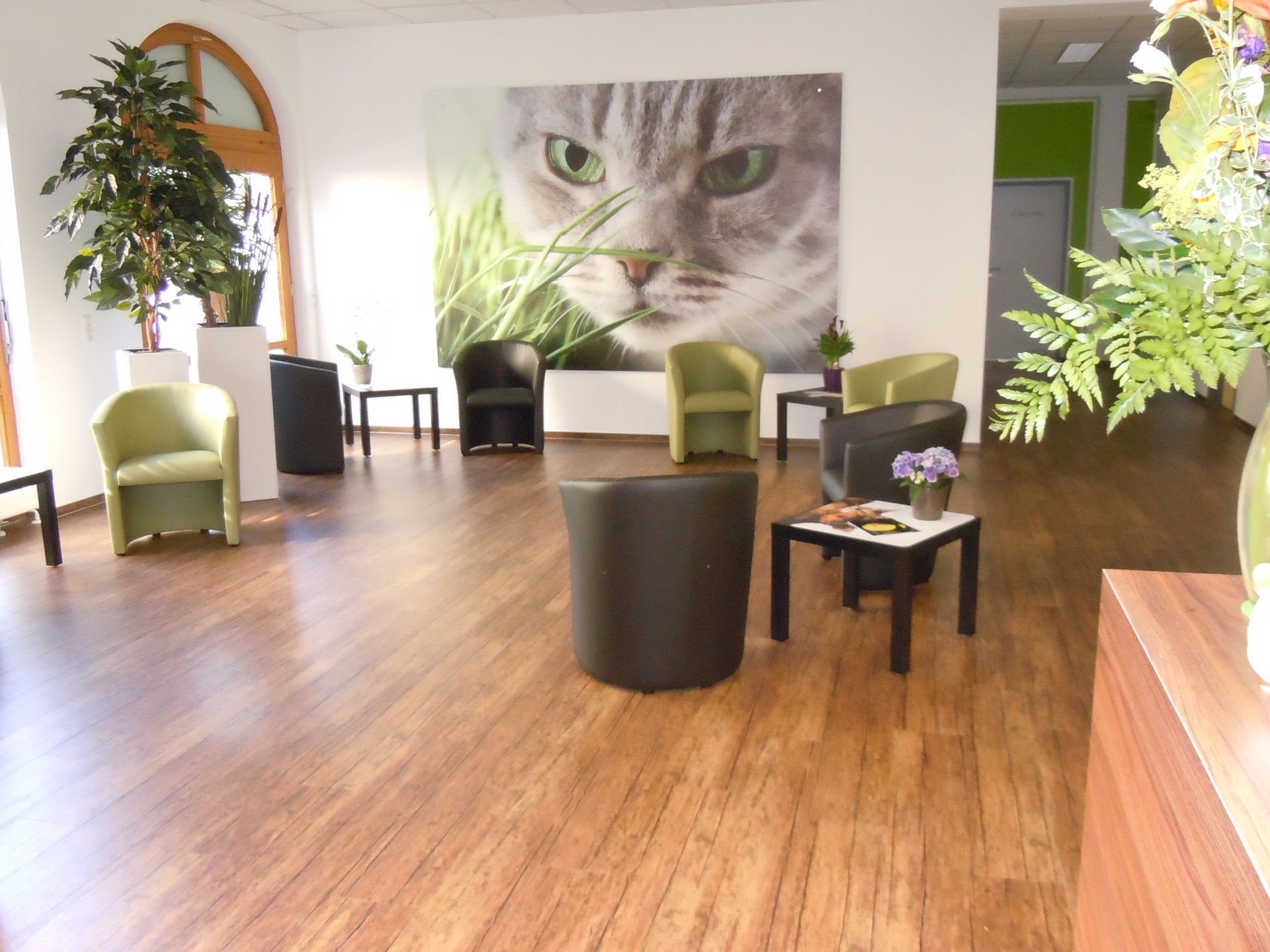 Ein Wartezimmer mit einem großen Katzenbild als Plattendirektdruck an der Wand.