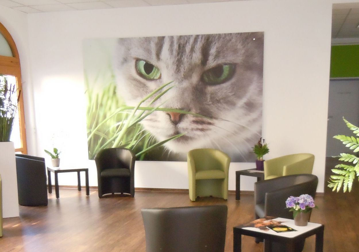 Wartezimmer mit Katzenporträt als Plattendirektdruck.