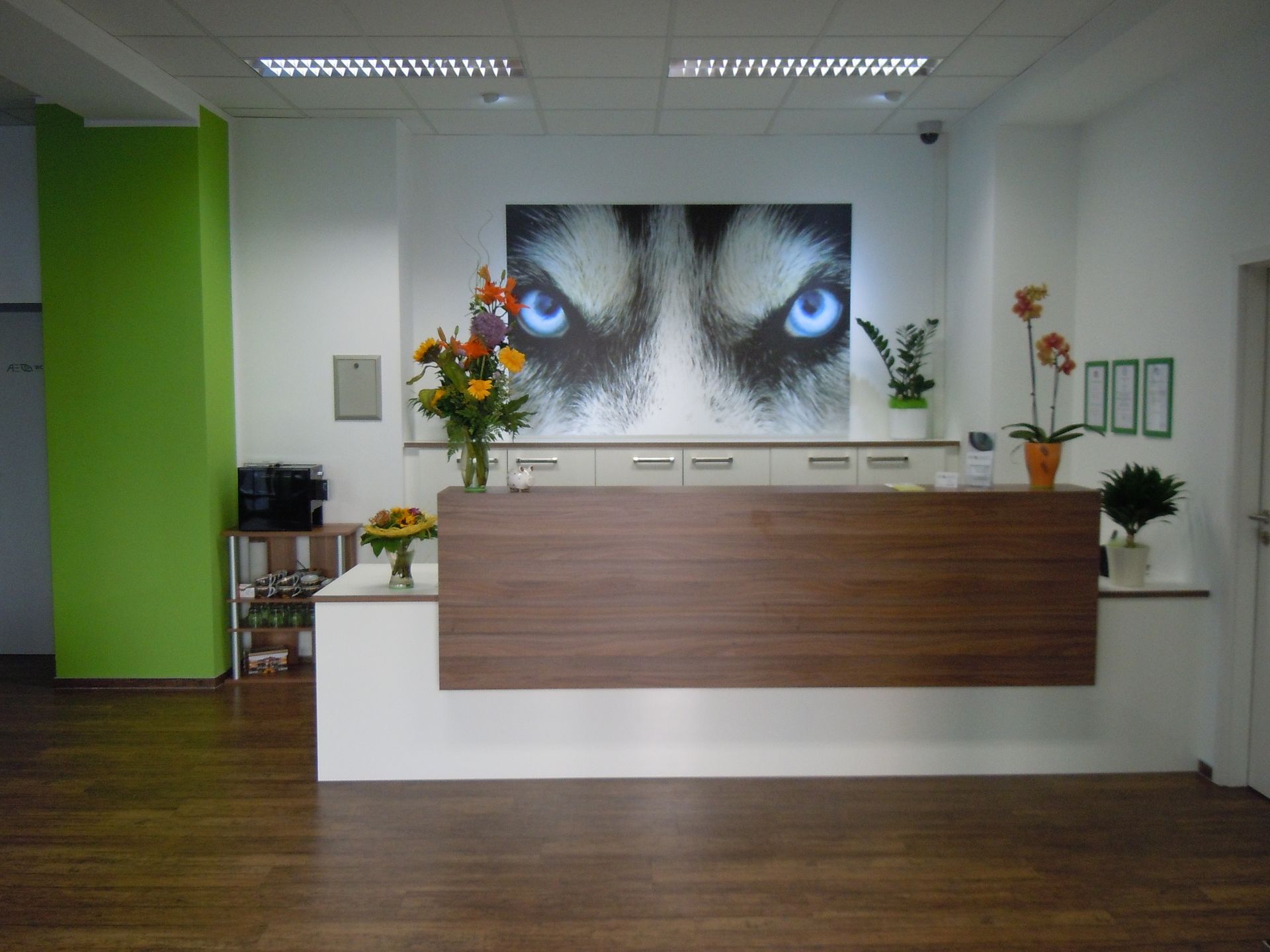 Empfangsbereich mit Holztheke Plattendirektdruck.