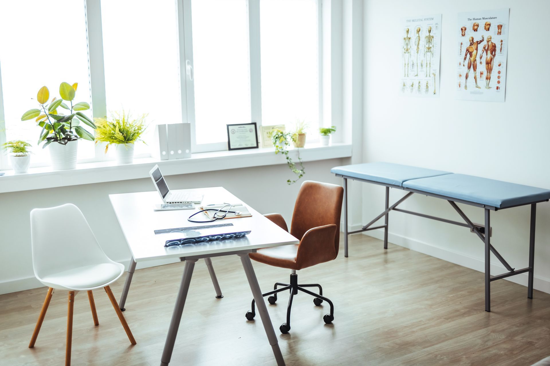 Arztpraxis mit Untersuchungsliege, Schreibtisch, Stühlen und Fenster mit Pflanzen.