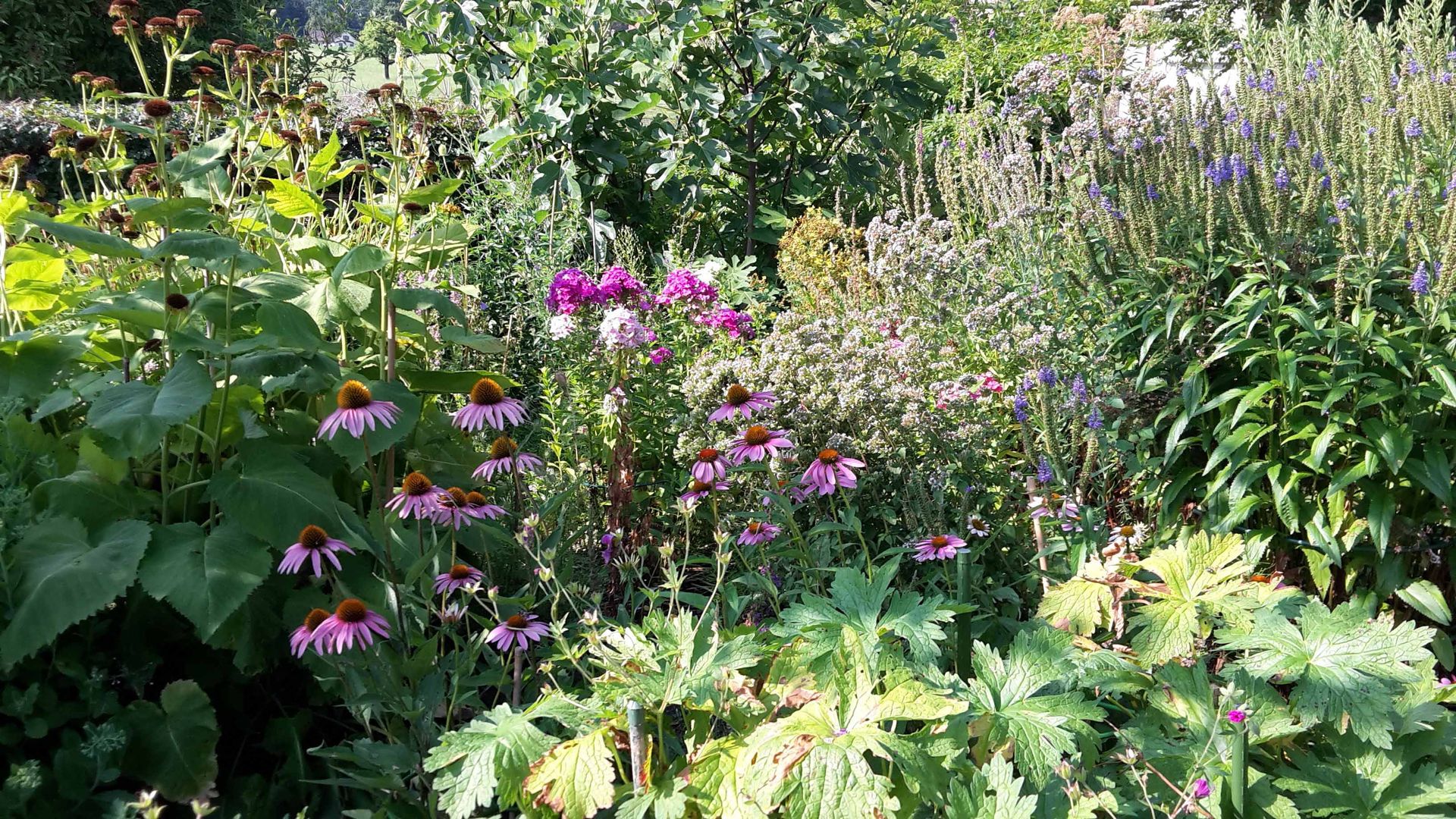 Gartenanlagen 12 - Staub Caspar Gartenbau - Egg b. Zürich