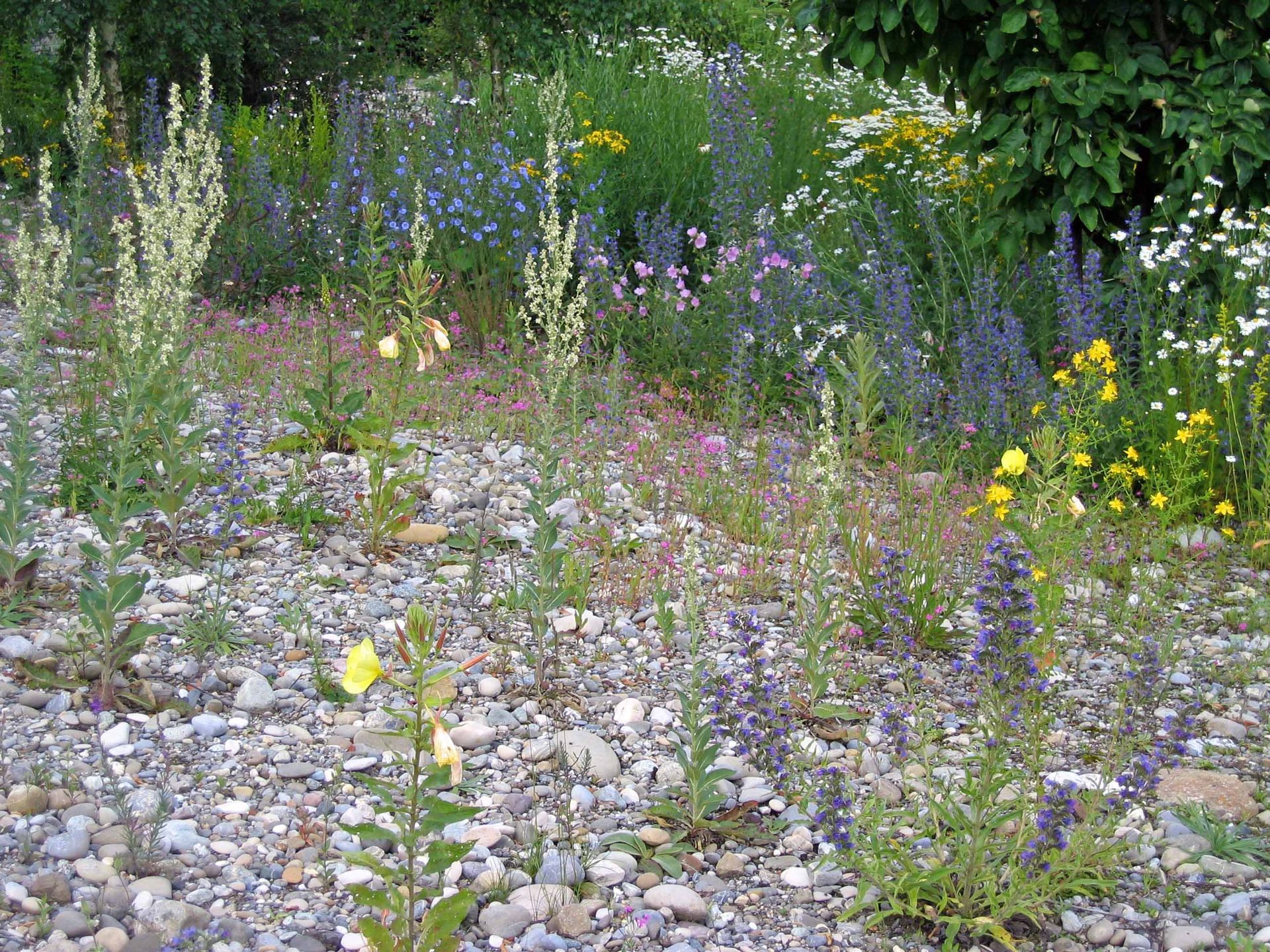 Gartenbau 9 - Staub Caspar Gartenbau - Egg b. Zürich