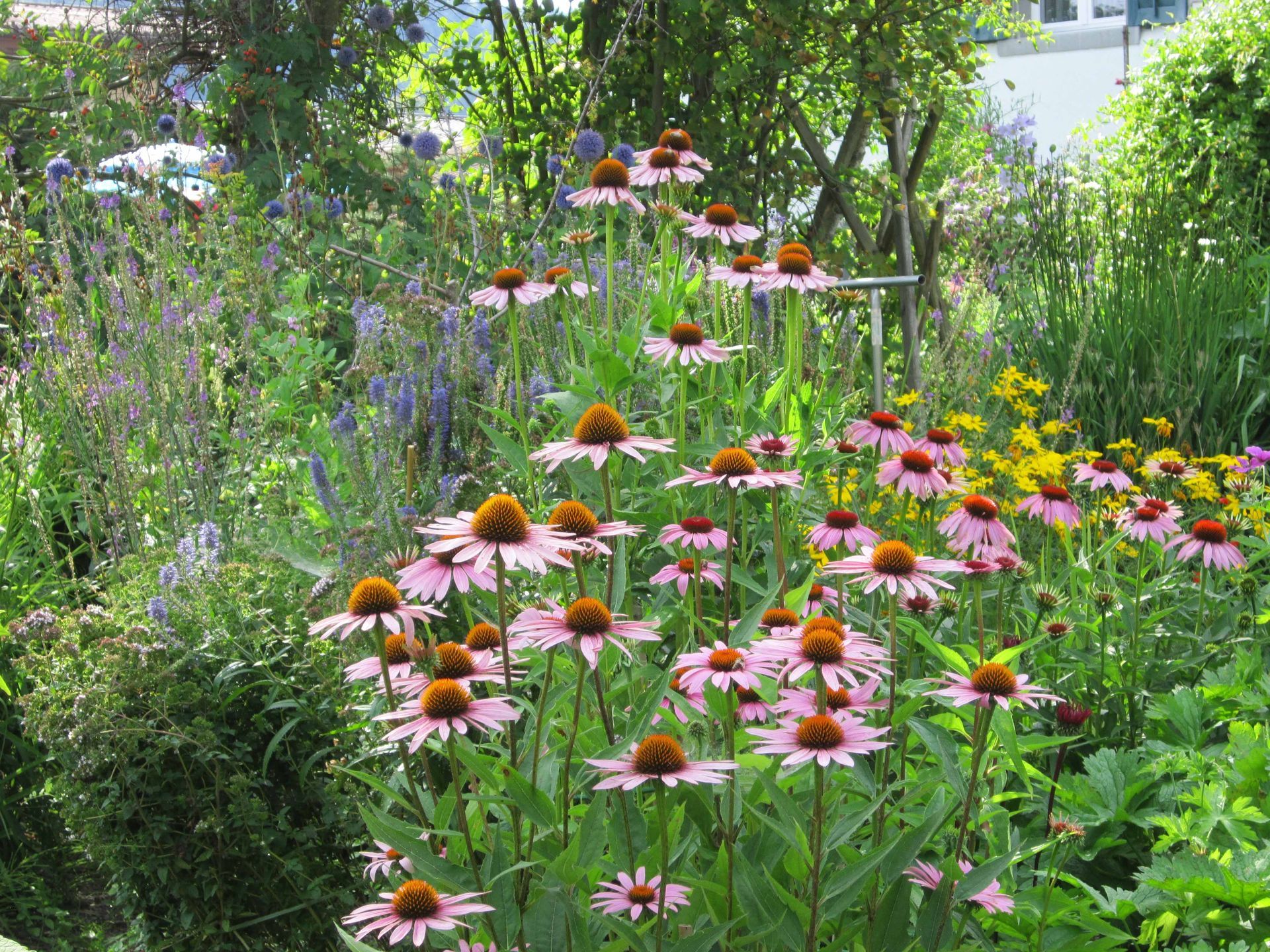 Staub Caspar Gartenbau | Egg b. Zürich