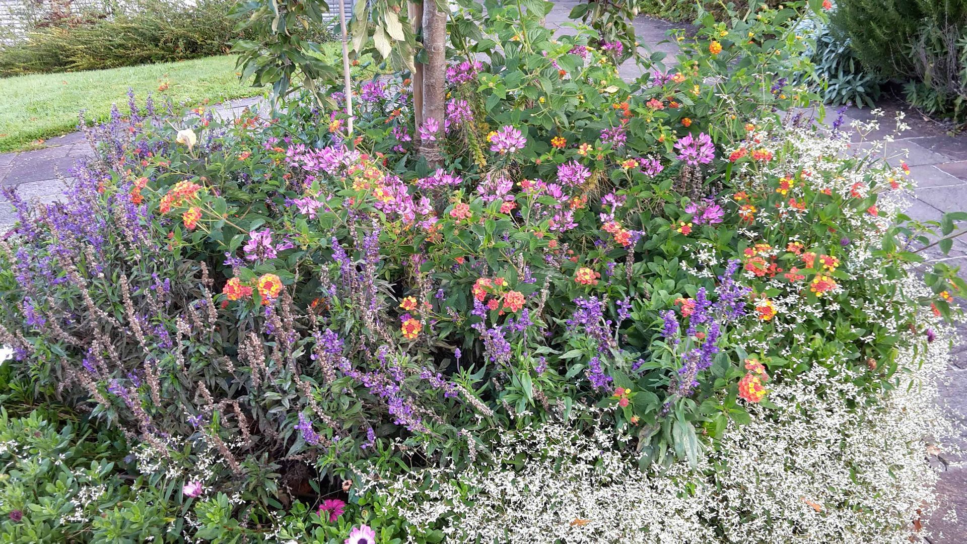 Gartenbau - Staub Caspar Gartenbau - Egg b. Zürich