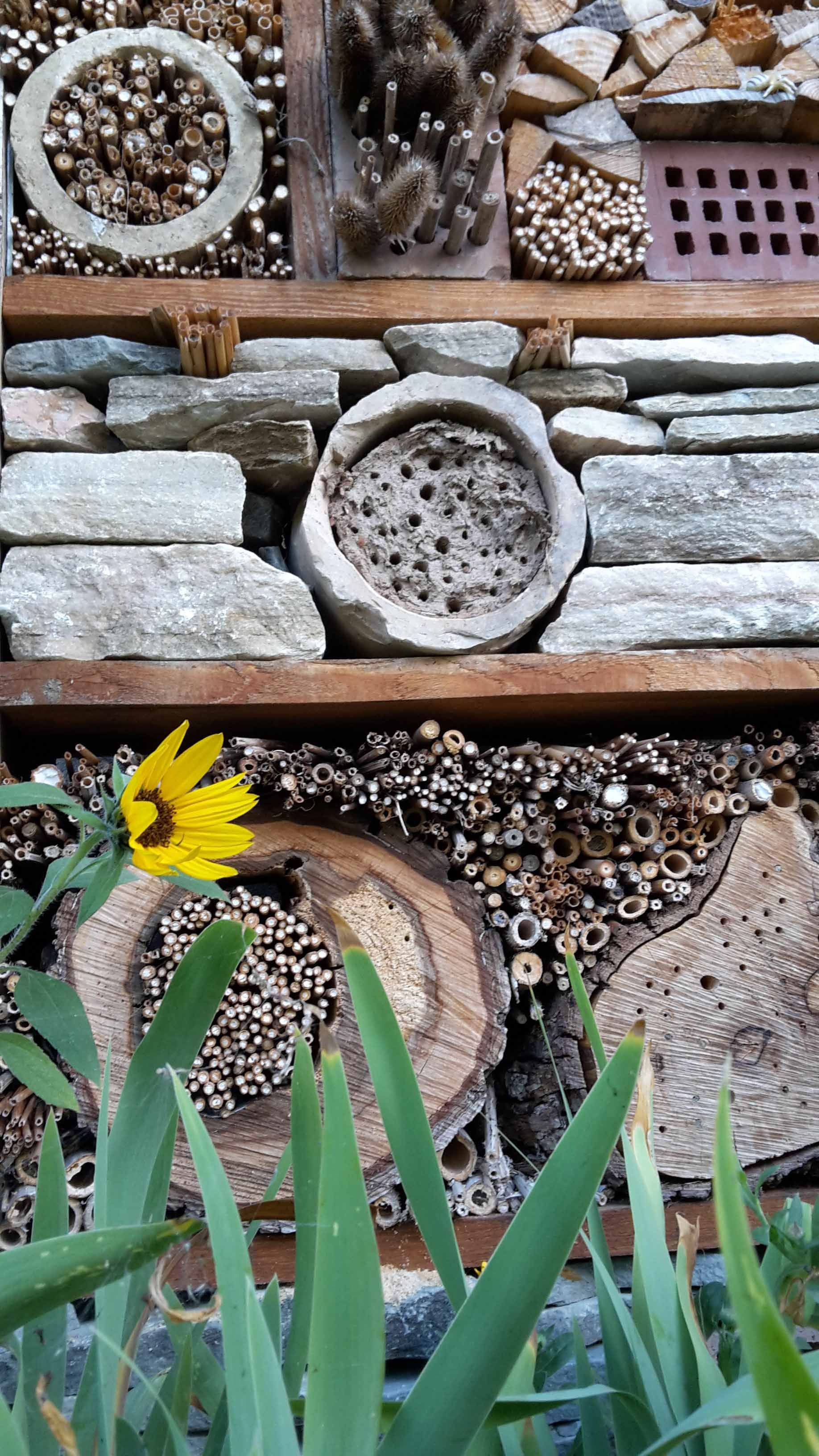 Gartenanlagen 10 - Staub Caspar Gartenbau - Egg b. Zürich