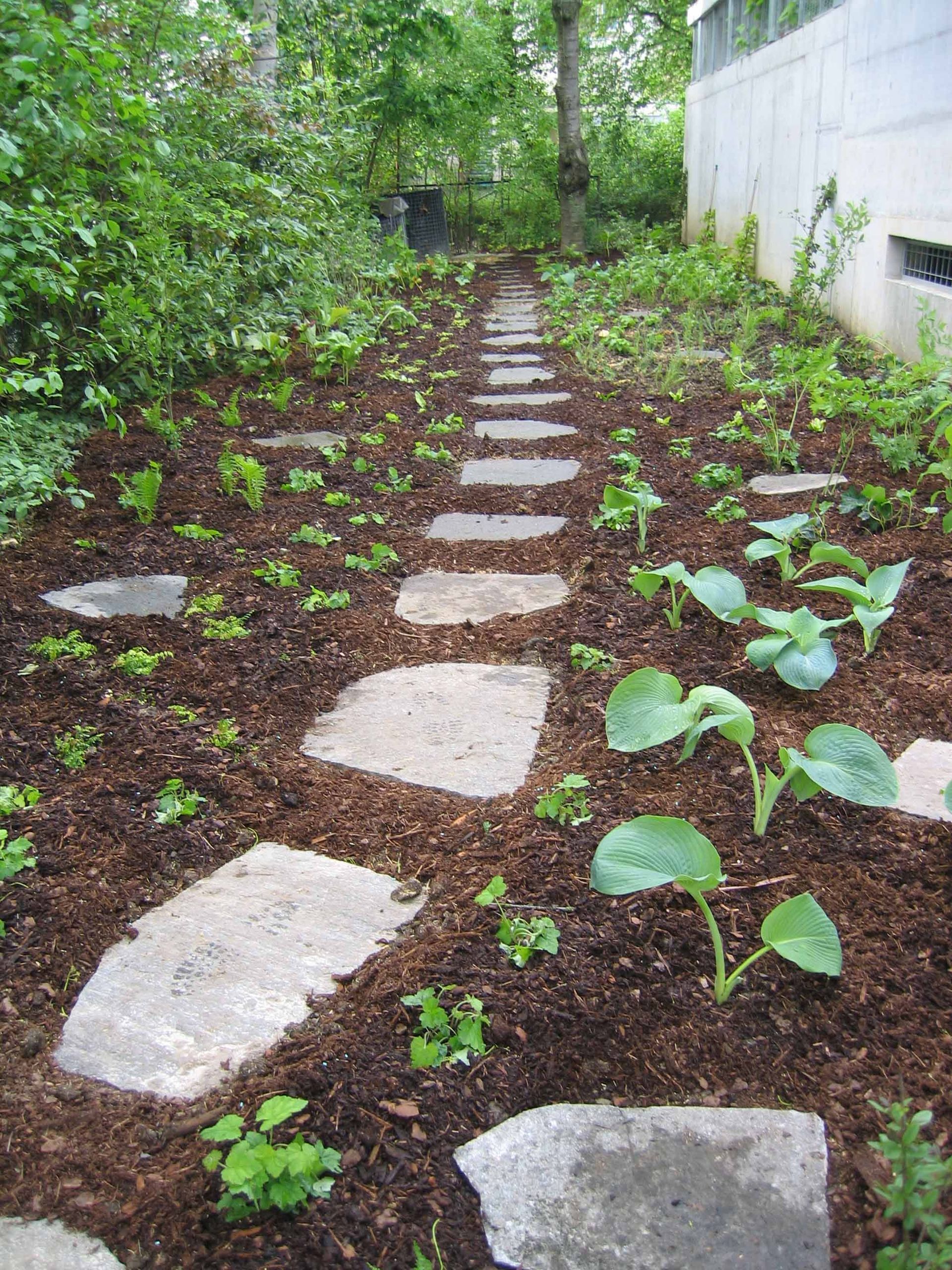 Gartenanlagen 3 - Staub Caspar Gartenbau - Egg b. Zürich