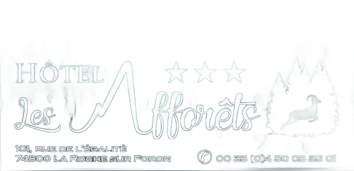 Logo H&ocirc;tel des Aff&ocirc;rets
