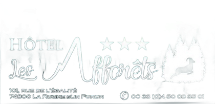 Logo H&ocirc;tel des Aff&ocirc;rets