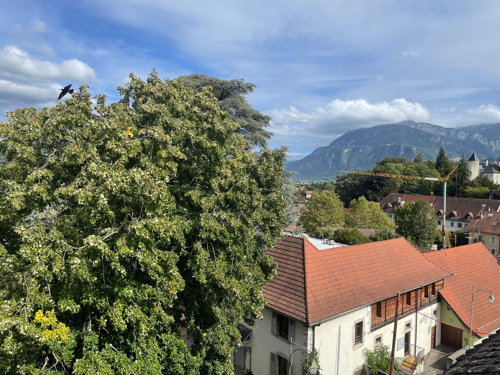 Vue d'une ville aux toits rouges
