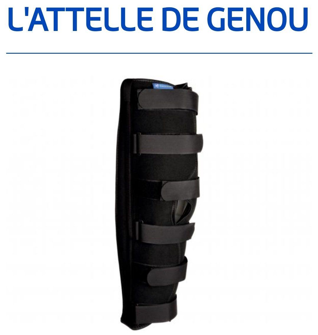 Attelle de genou