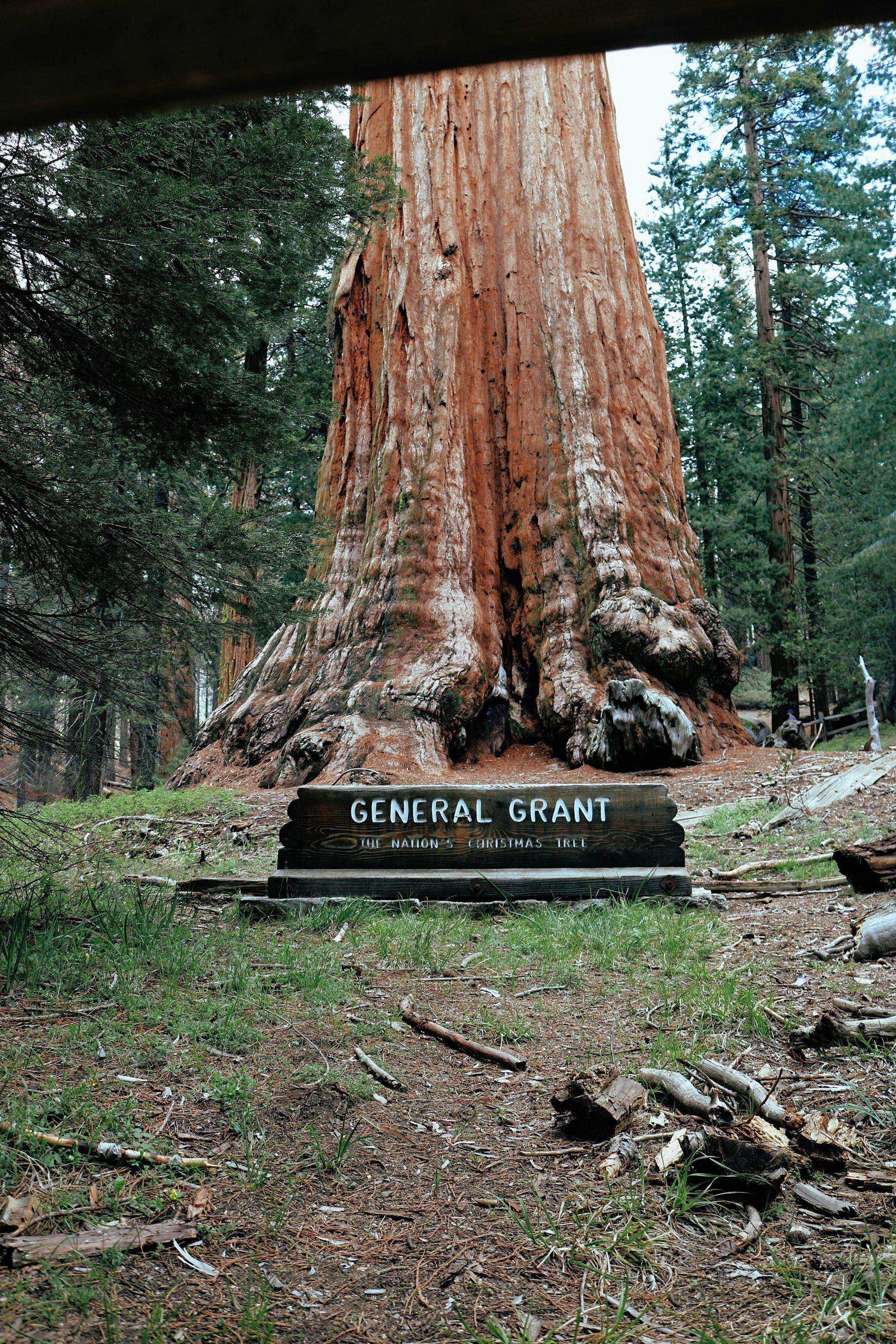 The General Grant