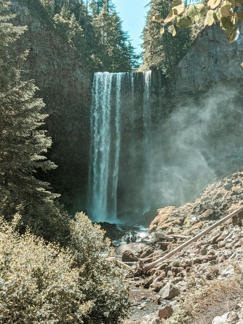 A waterfall is surrounded by trees and rocks