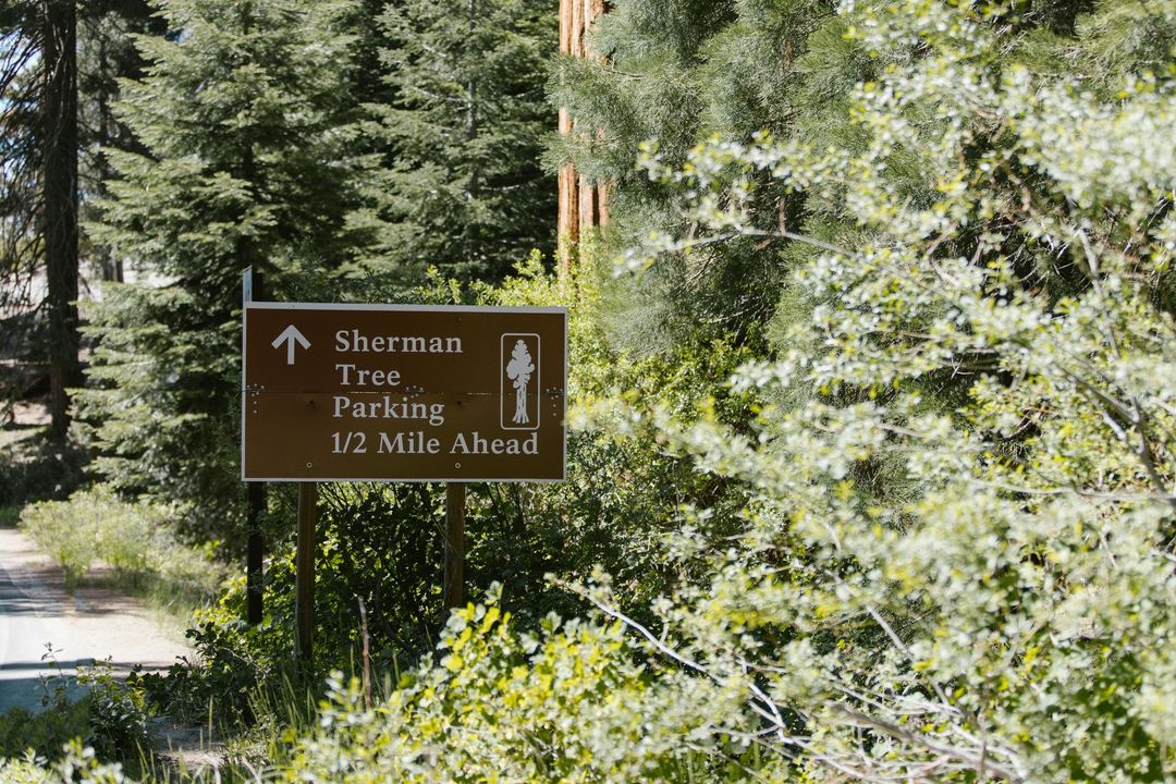 A sign that says sherman tree parking 1/2 mile ahead