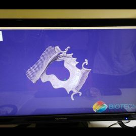 Un primer plano de un modelo de los dientes de una persona sobre una mesa.