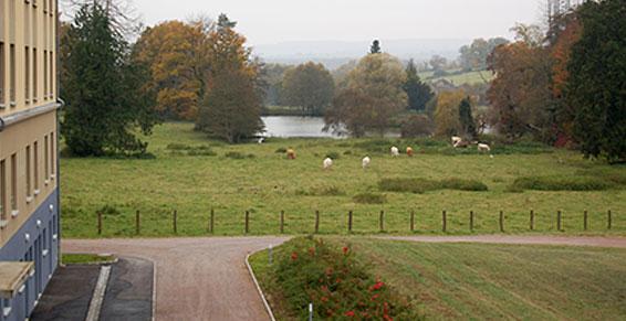 vue sur l etang