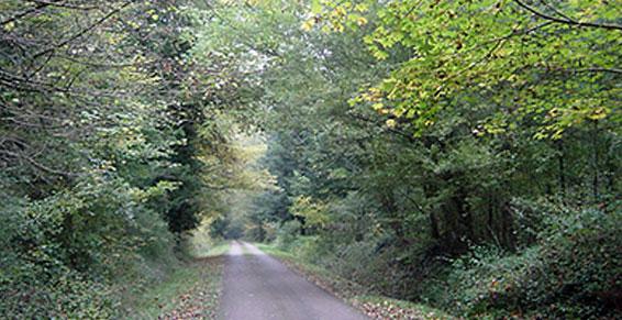 centre de soins de suite et de réadaptation à Tannay le parc