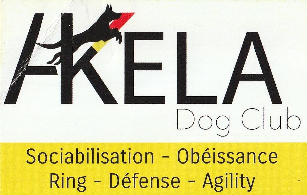 Akela Dog Club