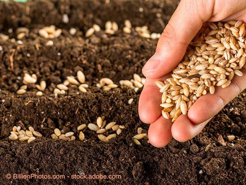 Willkommen bei Landhandel Auburger GmbH & Co. KG in Wald