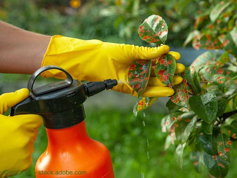 Willkommen bei Landhandel Auburger GmbH & Co. KG in Wald