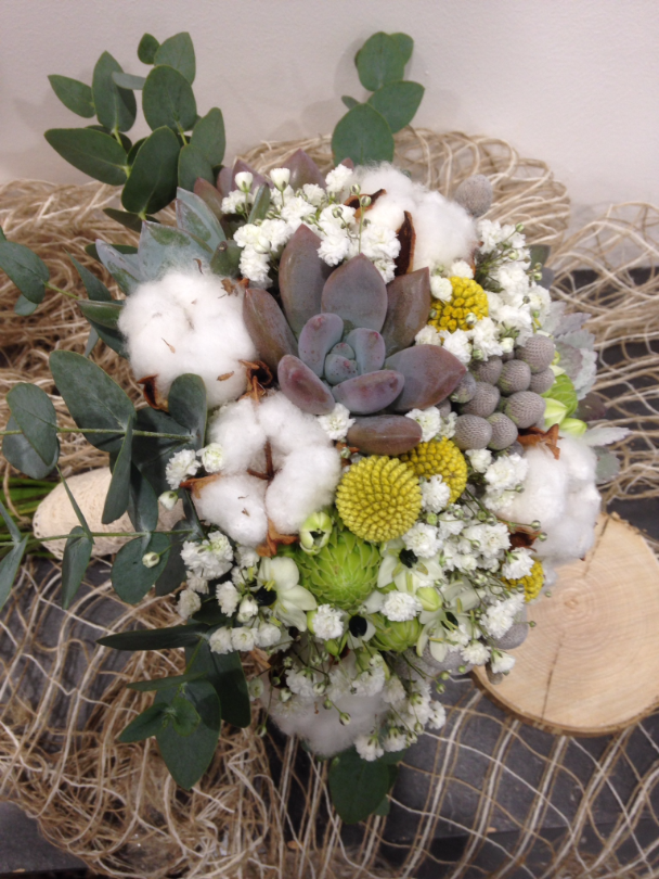 Composition de plantes