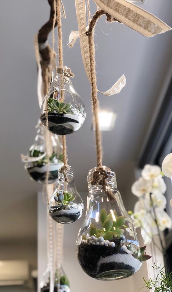 Composition de plantes