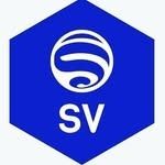 Un hexágono azul con un círculo blanco y la palabra sv en él.