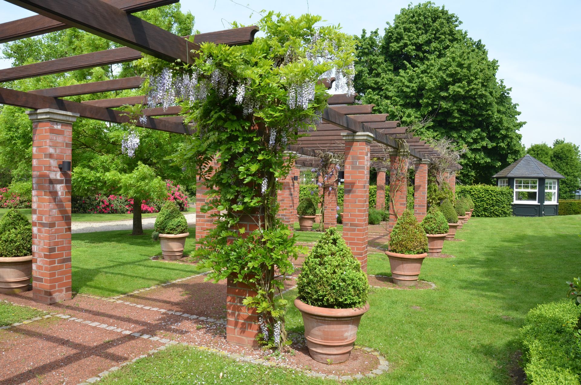Eine Reihe von Topfpflanzen unter einer Pergola in einem Garten