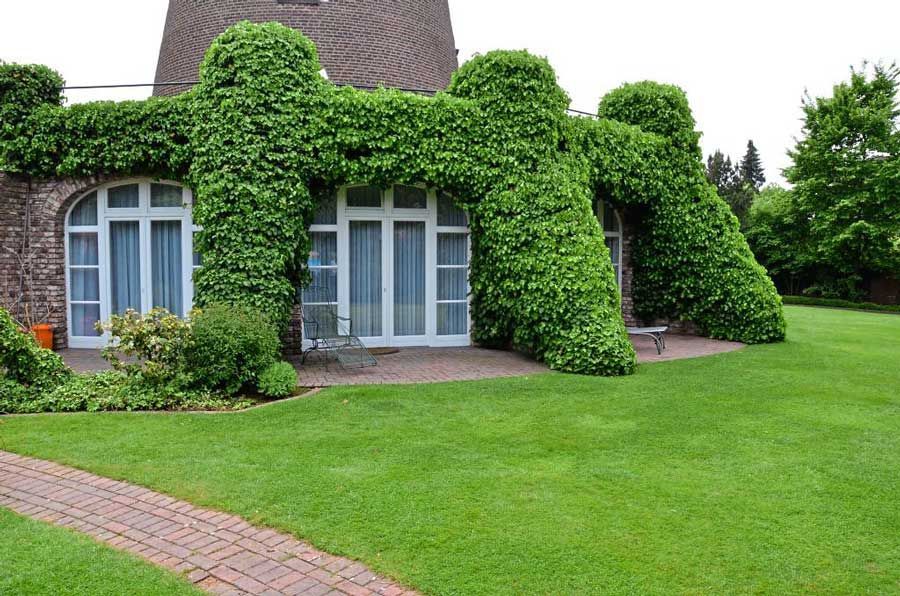 Ein Haus, zu dem ein gemauerter Gehweg führt