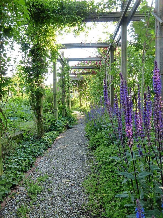 Ein Weg in einem Garten mit lila Blumen und einer Pergola.