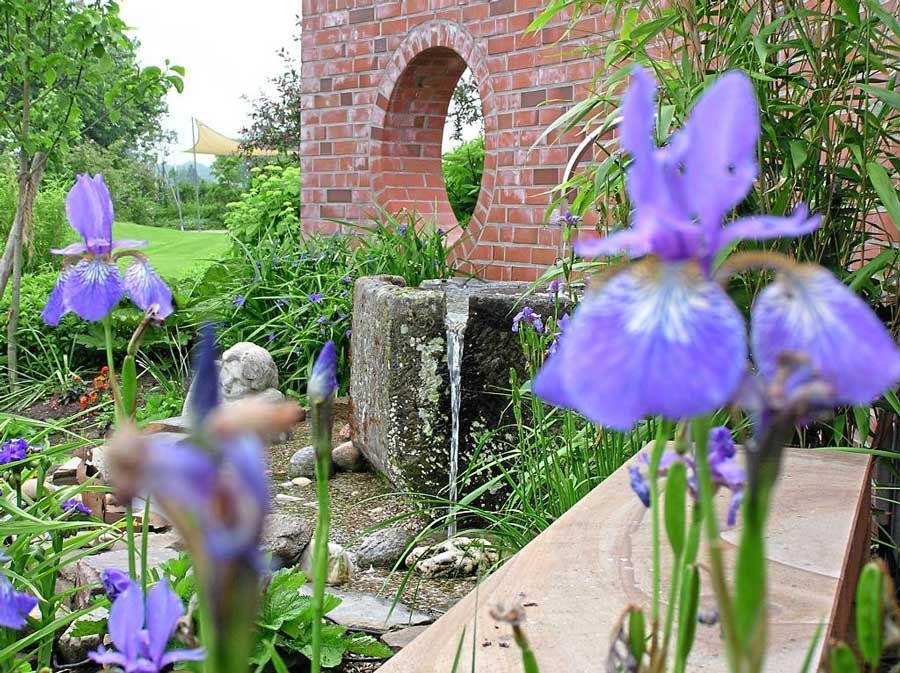 Lila Blumen in einem Garten mit einem kleinen Wasserfall im Hintergrund