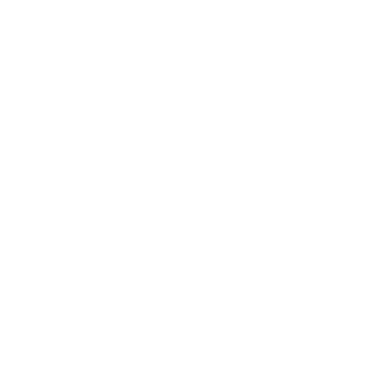 Icon Notfallmanagement