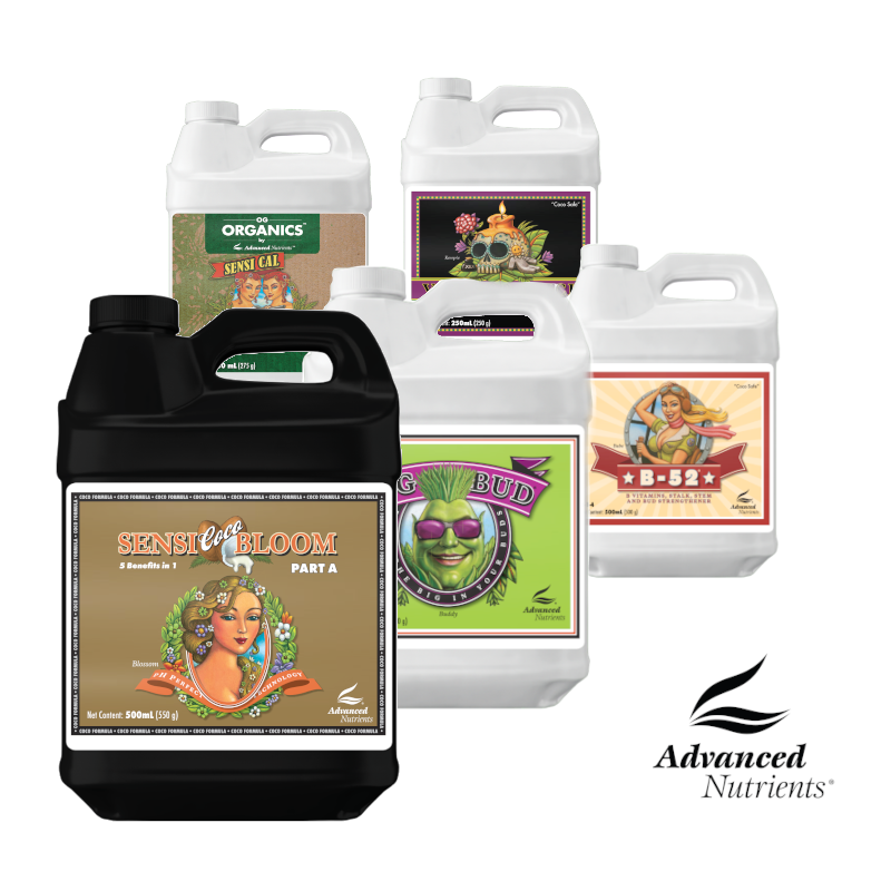 Geschmacksrichtung einer bestimmten Samensorte