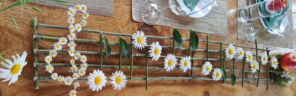 Sängerbund Romanshorn