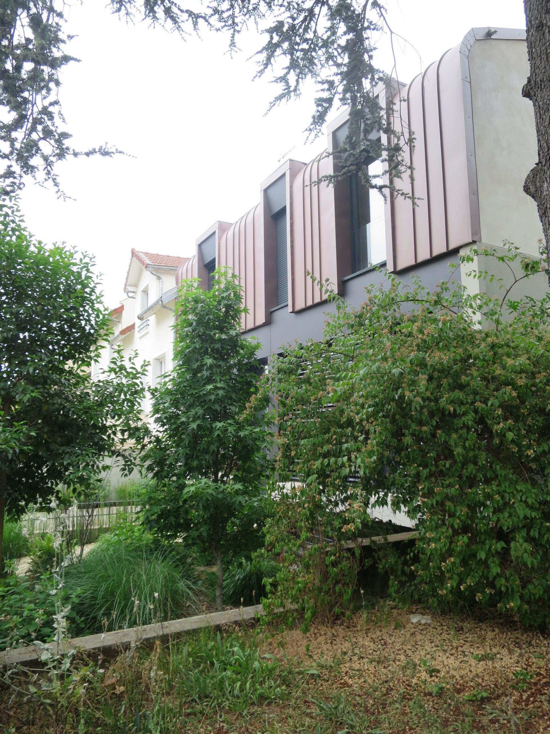 Arbres devant une maison