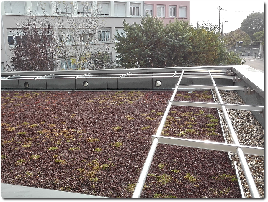 Réalisation d'une terrasse végétalisée près de Lyon