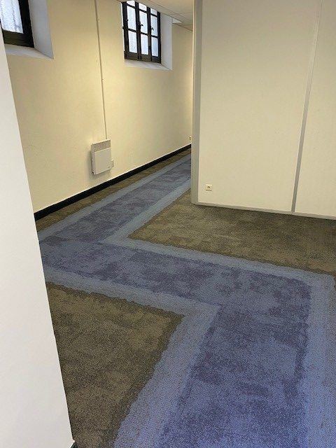 Couloir aux murs blancs avec moquette à motifs bleus et marron.